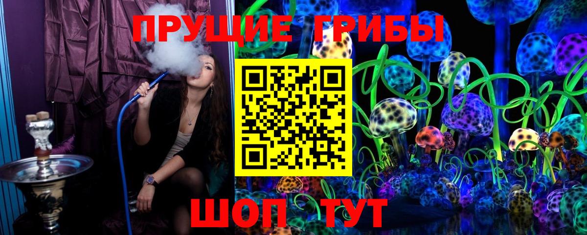 Галлюциногенные грибы Magic Shrooms Чапаевск